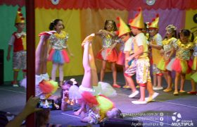 Alunos da Ed. Infantil e 1º ANOS apresentam o “Circo Mágico da Múltipla”