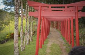 Saída Pedagógica no Mosteiro Zen - 6º ANOS