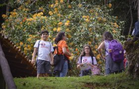 Saída Pedagógica no Mosteiro Zen - 6º ANOS