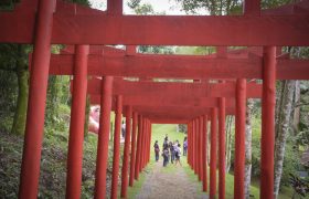 Saída Pedagógica no Mosteiro Zen - 6º ANOS