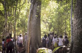 Saída Pedagógica na Aldeia Indígena