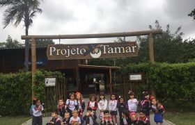 Infantil 3 visita projeto Tamar