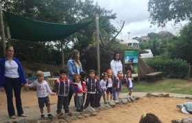 Infantil 3 visita projeto Tamar