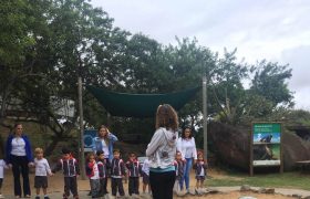 Infantil 3 visita projeto Tamar