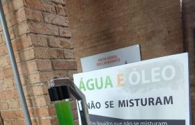 São Paulo Cultural com 6º aos 8º ANOS