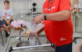 Aulas no Laboratório de Ciências com os Anos Iniciais