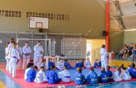 Festival de Judô