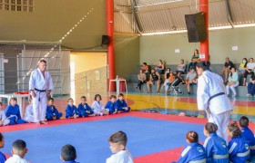 Festival de Judô