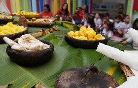 19 de maio | Dia dos Povos Indígenas