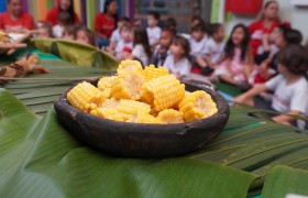 19 de maio | Dia dos Povos Indígenas