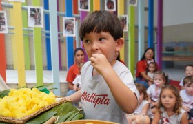 19 de maio | Dia dos Povos Indígenas