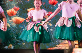 Musical Múltipla em Cena Kids "O mágico de Oz" (Anos Iniciais)