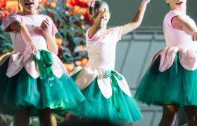 Musical Múltipla em Cena Kids "O mágico de Oz" (Anos Iniciais)