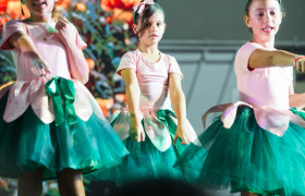 Musical Múltipla em Cena Kids "O mágico de Oz" (Anos Iniciais)